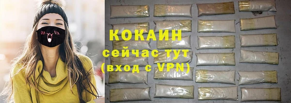 мдпв Ладушкин