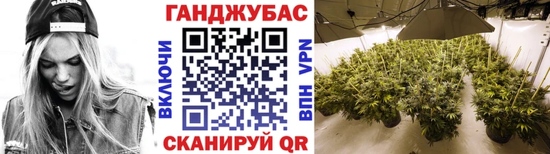 Купить где  Шебекино  Шишки марихуана сатива 